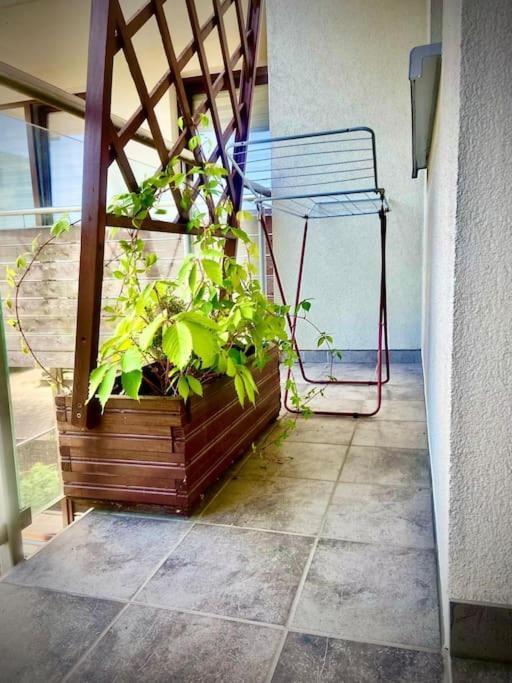 Apartament Grzegorzecka Centrum Kraków Exteriör bild